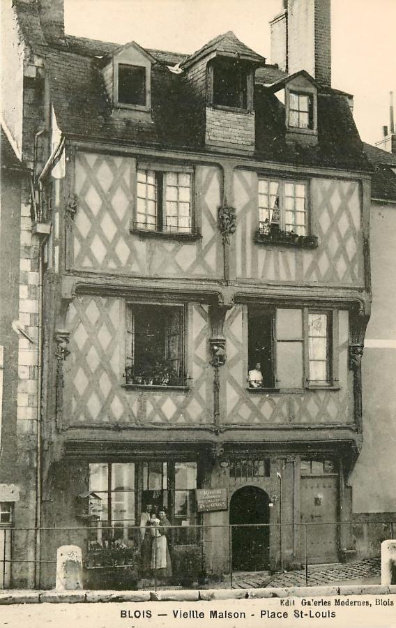 Maison Des Acrobates Blois Eksteriør billede